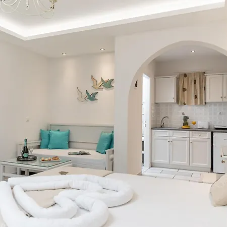 夏日回忆一室公寓酒店 公寓 Naxos City