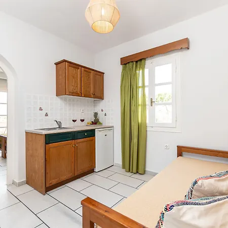 Summer Memories Apartment Naxos City